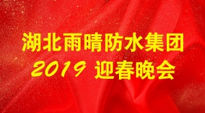 雨晴集团《放飞梦想  超越无限》迎春晚会