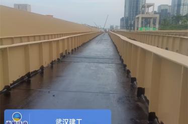 新月溪景观桥梁工程书桥（光谷五路）桥面防水工程